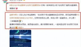 冰岛爆料最新视频,神秘现象背后的惊人真相